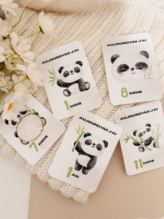 Cartes étapes - panda